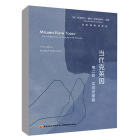 当代克莱因 第2卷 实践发展篇