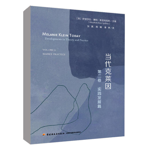 当代克莱因 第2卷 实践发展篇 商品图0