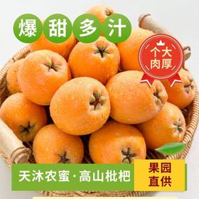 【新品】天沐农蜜·高山枇杷