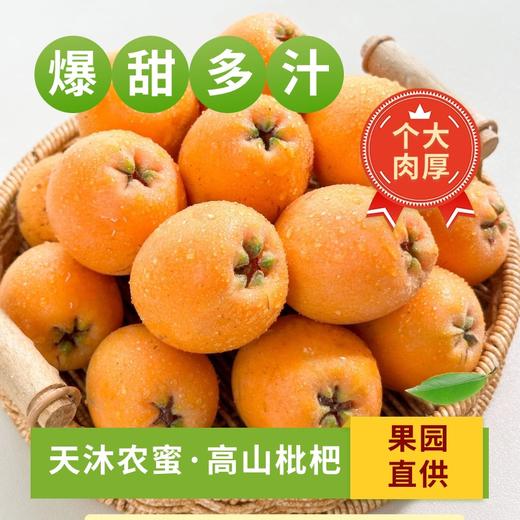 【新品】天沐农蜜·高山枇杷 商品图0