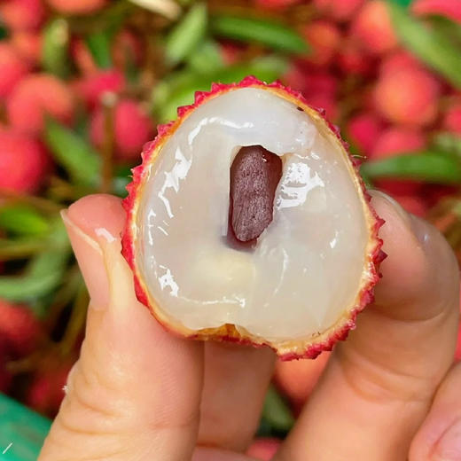 海南桂花荔枝，顶级老树果子！水润爆汁，还有浓郁的桂花香，白净嫩滑的果肉饱满充盈！750克/盒 商品图0