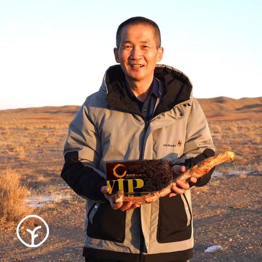 【有机】荒漠肉苁蓉原浆，30ml*6瓶/盒，第四代生物发酵技术，九大仙草之一 商品图4