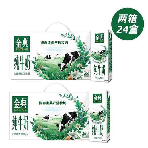  金典纯牛奶250ml*12盒（2提） 商品图0