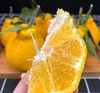 四川柠檬不知火柑橘新鲜一级现摘现发5斤8斤 商品缩略图2