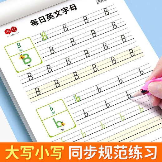 英语字母练字帖小学生3-6年级每日单词记忆训练描红彩色规范书写 商品图3