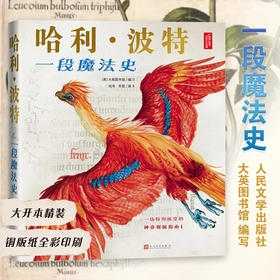 哈利·波特 一段魔法史