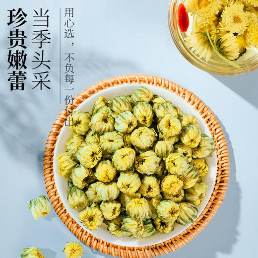 草木方 菊花茶胎菊50g 草木之间有良方 商品图2