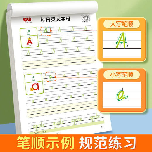 英语字母练字帖小学生3-6年级每日单词记忆训练描红彩色规范书写 商品图8