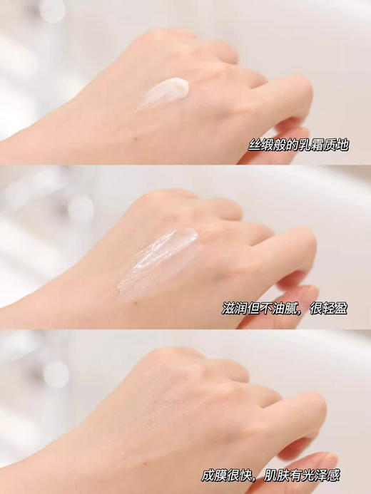 CPB肌肤之钥防晒霜50ml御龄养肤防晒乳SPF50+防护乳UV防紫外线保湿【CDF】 商品图8