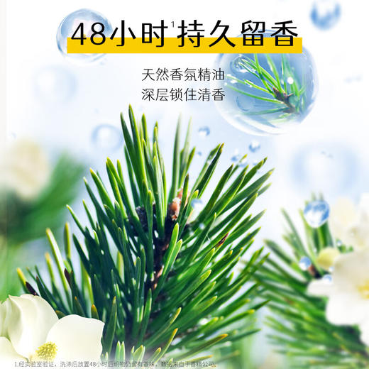 花木星球天然香氛洗衣液 洁净透亮2KG*2桶 商品图5