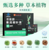 北京同仁堂-普洱荷叶茶 50g（5g*10袋） 商品缩略图2