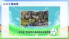 二上 主题3 活动2 走进“足球场” 商品缩略图0