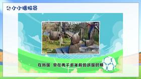 二上 主题3 活动2 走进“足球场”