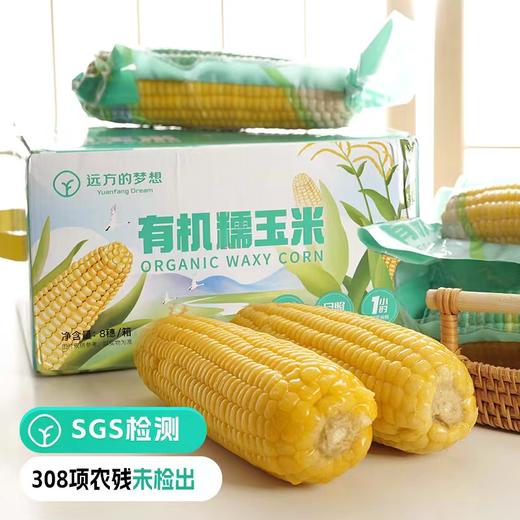 【有机】有机黄糯玉米 商品图0