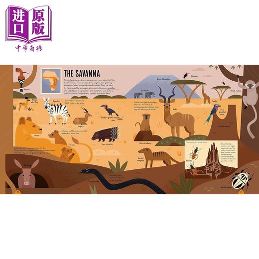 【中商原版】动物的图谱 Amazing Animal Atlas 英文原版 儿童科普绘本 自然知识百科图画书 精装进口图书 儿童读物7-12岁 商品图3