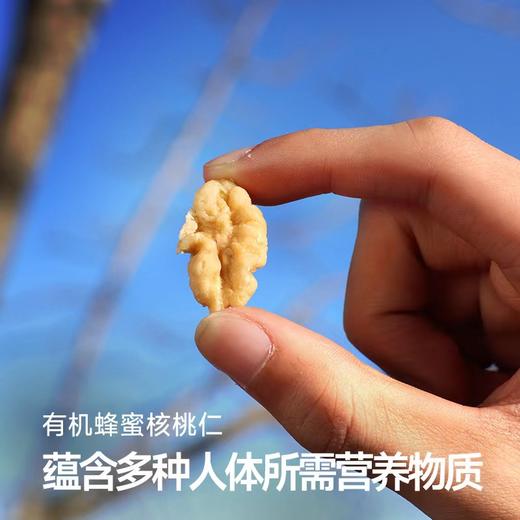 【有机】去皮蜂蜜核桃仁100g，健康无添加，解馋小零食 商品图2
