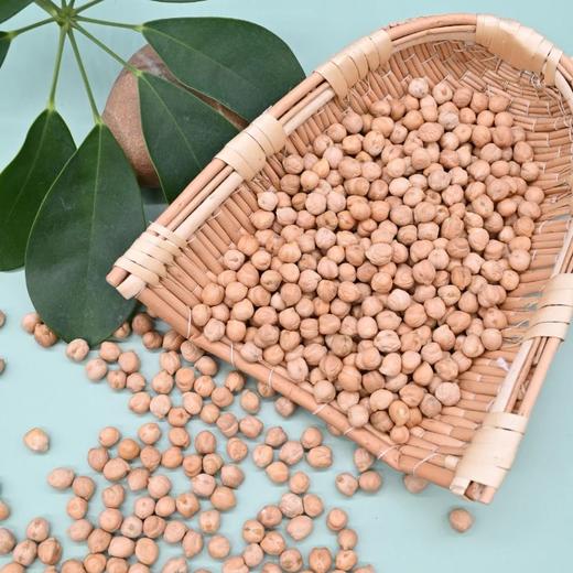 鹰嘴豆 新疆精选生豆【京东快递送货上门】 商品图3