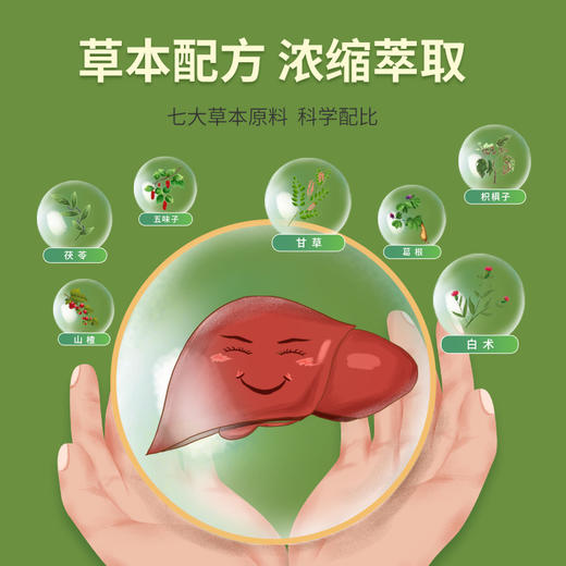 【天士力】 金士力牌九尊肝脂胶囊 0.5g*80粒/瓶 商品图1