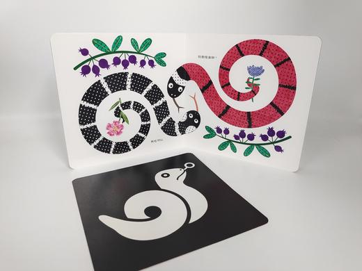 生肖家族一起玩 （第二辑，全4册） 《神秘的龙》《不一样的小蛇》《两只羊》《花马农场》 中英对照 艺术审美 传统文化 原创故事 商品图6