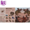 预售 【中商原版】恐龙图谱The Atlas of Diabolical Dinosaurs英文原版 儿童科普绘本 科学知识百科图画书 精装进口儿童读物7-12岁 商品缩略图2
