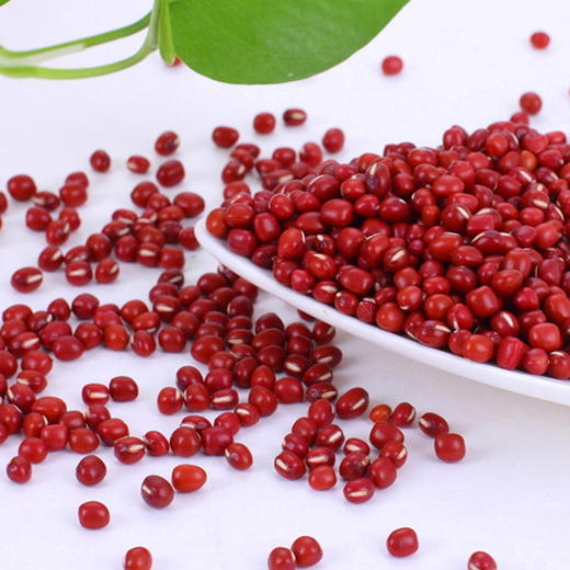 哈北小镇有机杂粮米有机黑豆360g+有机红小豆400g 膳食营养 健康有机 精心搭配 谷香浓郁 商品图3