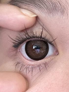 Laseecon美瞳 黑松沙士 14.5mm