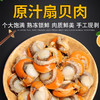原汁扇贝肉700±10g 商品缩略图0