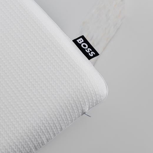 HBZX-016  BOSS深睡记忆枕 商品图4