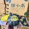 【甜小南板栗南瓜】8粒装～口感比板栗香甜，皮也能吃，香甜又粉糯，低卡更健康，简单用水蒸熟即可。 商品缩略图3