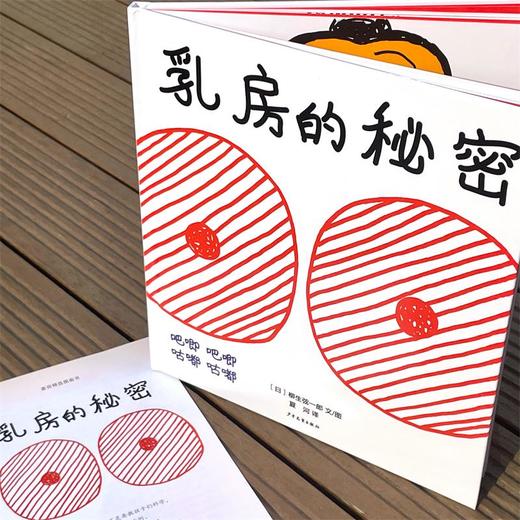 麦田精选图画书 乳房的秘密 商品图3