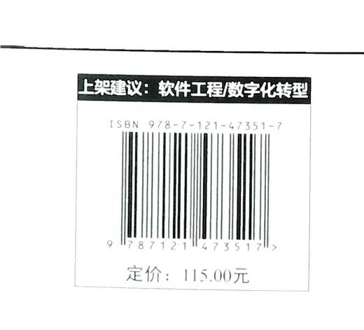 创新驱动设计：单体与微服务混合架构策略与实践 商品图3