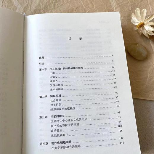 巴西史 (区域国别史丛书) 商品图3