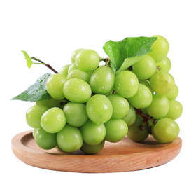 智利 青提  |进口水果