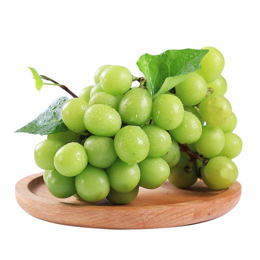 智利 青提  |进口水果 商品图0