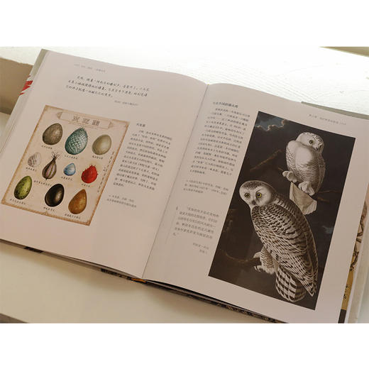 哈利·波特 一段魔法史 商品图1