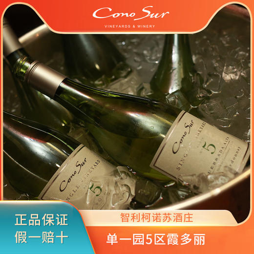 柯诺苏5区霞多丽白葡萄酒（单一葡萄园系列）750ml 商品图2