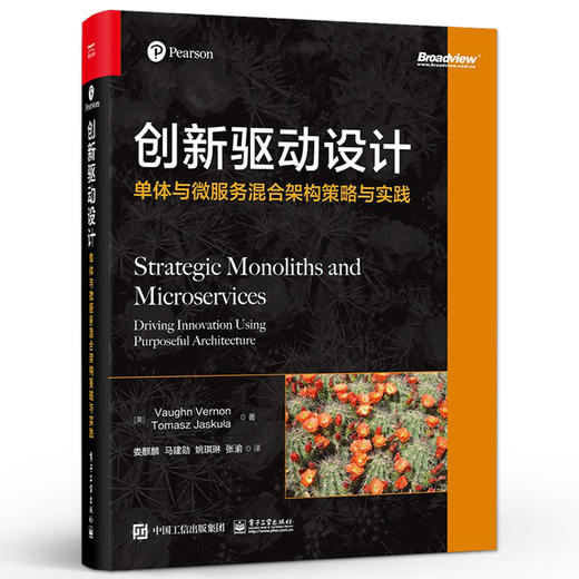 创新驱动设计：单体与微服务混合架构策略与实践 商品图0