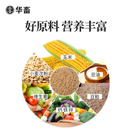 【整吨更优惠】华畜 中大鸡全价料颗粒料20斤 原料营养丰富 蛋白质含量高 长得快 使用阶段7周龄以后 商品图3