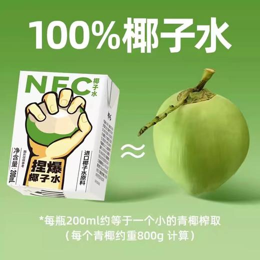 【有机】NFC纯椰子水，1箱（200ml*10盒），新鲜现摘，配料只有椰子水 商品图1
