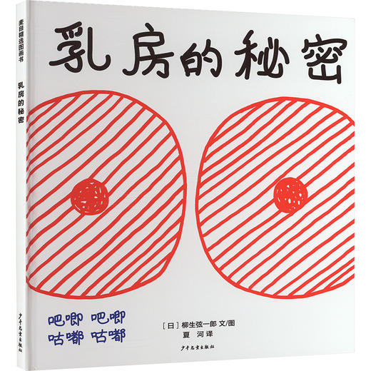 麦田精选图画书 乳房的秘密 商品图0