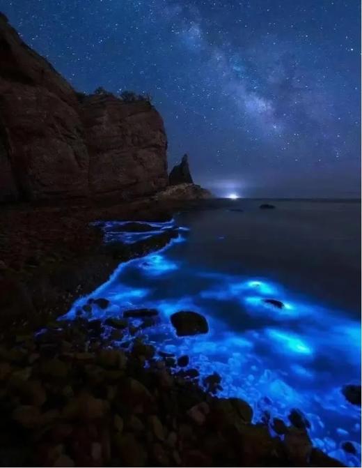 户外@【浪漫茂名】茂名浪漫巴布几内湾，寻味美食2天 商品图4