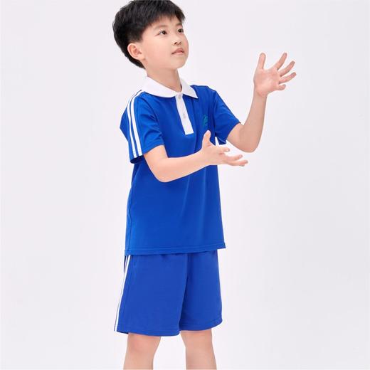 【雅兰特高级版】深圳小学生夏季款校服 商品图2