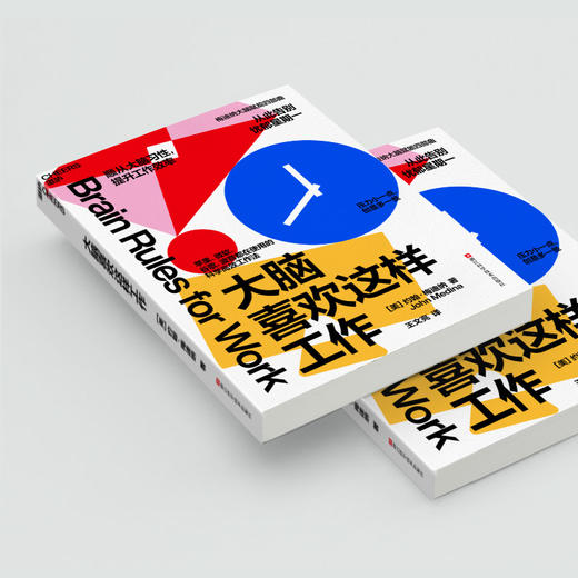 大脑喜欢这样工作 顺从大脑习性，提升工作效率 商品图2