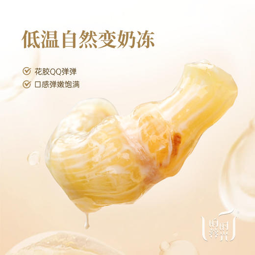 鲜炖花胶礼盒·纯奶炖煮不加一滴水·每瓶含6克干花胶，固形物≥45%，只选陈年花胶 ，产于美国东海岸的红鱼胶，（混合装：原味&白桃乌龙各4瓶·75克/瓶）） 商品图5