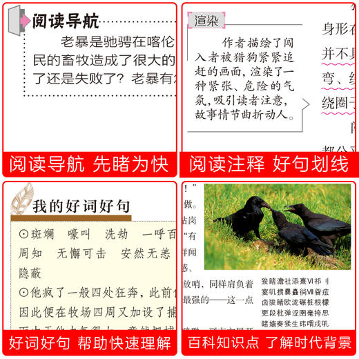 西顿动物故事集 商品图3