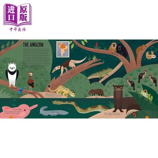 【中商原版】动物的图谱 Amazing Animal Atlas 英文原版 儿童科普绘本 自然知识百科图画书 精装进口图书 儿童读物7-12岁 商品图2