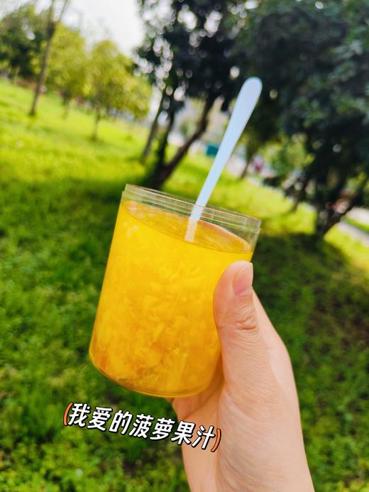 十送一活动 | 菠萝果粒果汁 【看得见的菠萝颗粒】 330ML/瓶 保质期12个月【日期批次为6月21日】 商品图5