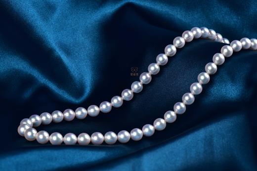 【臻雅】Akoya珍珠项链-ZX12403005 商品图2