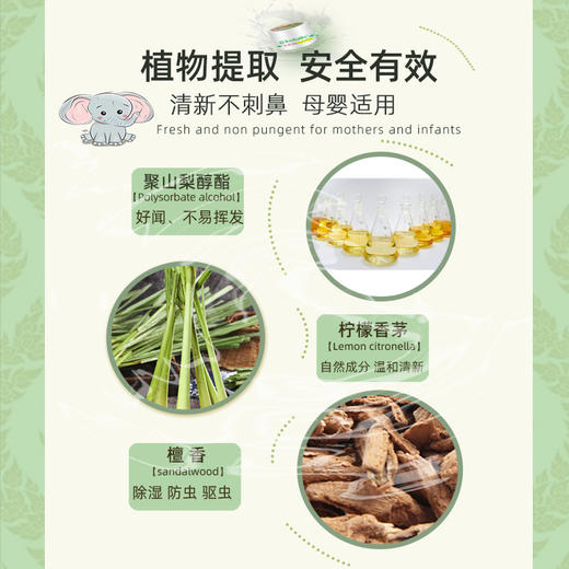 【KAVA GOOD卡瓦库德】植物香杯 商品图2