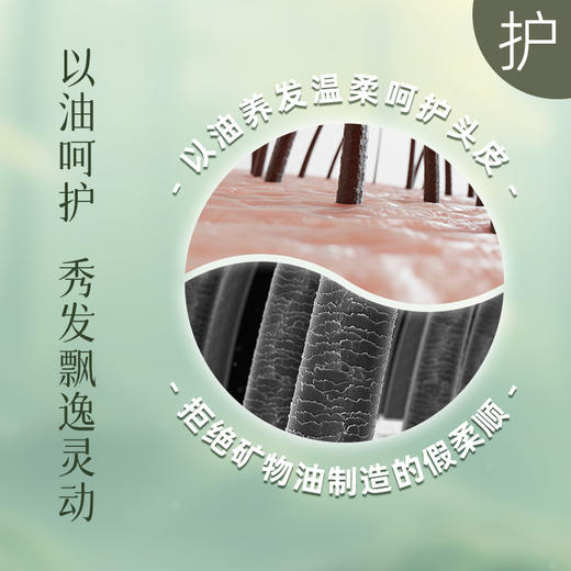 芳研社生姜雪松洗护旅行装洗发水30ml+护发素30ml无满赠 商品图3